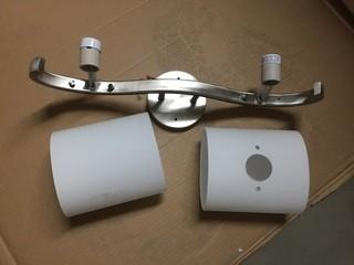 Satin Nickel and Frosted Glass Vanity Light Fixture