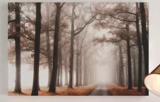 Misty Road' Photographic Print on Wrapped Canvas 24x36"