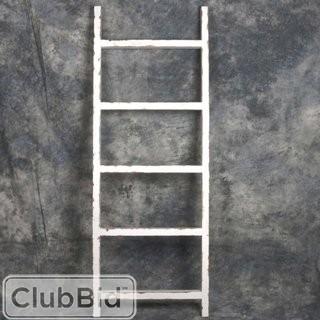 Foundry Select Wooden 7 19.7W x 53.1H Decorative Ladder - White(FNDS1487_24418689)
