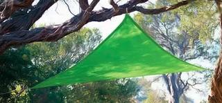 Triangle 9' 10" Party Sail Lime