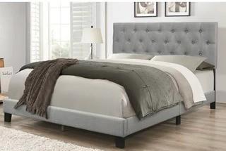 Drusilla Upholstered Standard Bed, Queen, Grey 