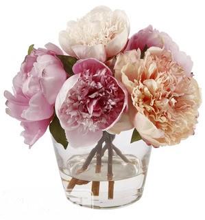 Jane Seymour Botanicals Peonies Floral Arrangements in Glass Vase (JSBT124010661628)