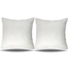 Essential Needs Euro Pillows, 2PC`