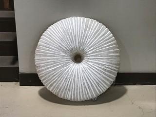 New Katty Wall Lamp In White.