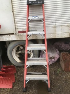 6ft Ladder