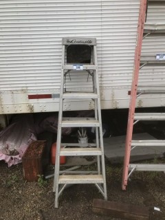 6ft Ladder