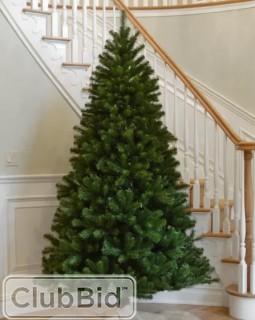 Beachcrest Home 6' Spruce Artificial Christmas Tree with Clear Lights (BCHH4218_24260267)