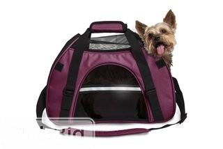 FurHaven Pet Carrier - Teal Large (12" H x 9" W x 18" L)(FUH1182_19006491_19017465)