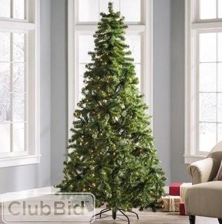 Wayfair Basics 7.5' Green Fir Artificial Christmas Tree with 450 Clear Lights (WFBS1839)