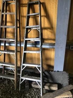 6ft Step Ladder
