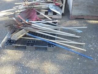 Assorted Rakes, Shovels &  Brooms. 