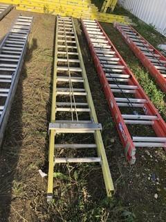 Featherlite 32ft Extension Ladder