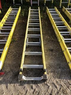 20ft Extension Ladder 