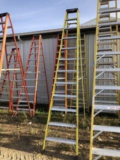 Featherlite 12ft Step Ladder