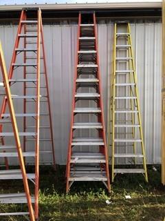 Sturdy 12ft Step Ladder