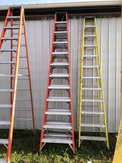 Sturdy 12ft Step Ladder