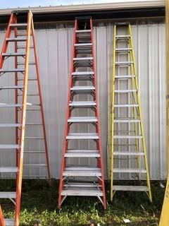 Sturdy 12ft Step Ladder