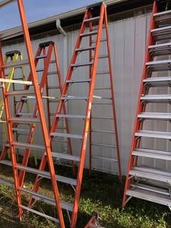 Sturdy 12ft Step Ladder