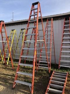 Sturdy 12ft Step Ladder