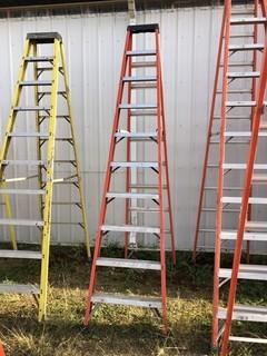 Sturdy 10ft Step Ladder