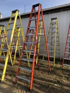 Sturdy 10ft Step Ladder