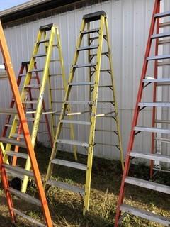 Featherlite 10ft Step Ladder