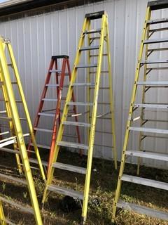 Featherlite 10ft Step Ladder