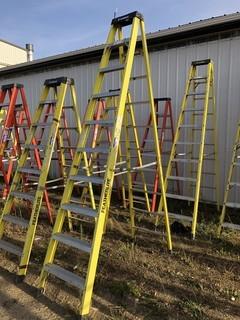 Featherlite 10ft Step Ladder