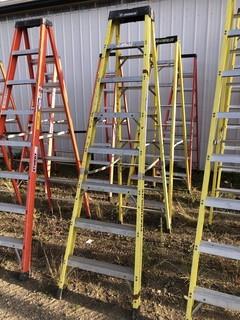 Featherlite 8ft Step Ladder