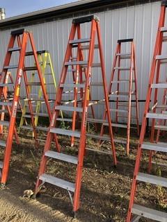 Sturdy 8ft Step Ladder