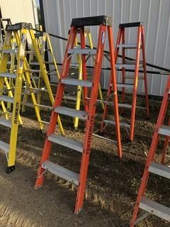 Featherlite 6ft Step Ladder