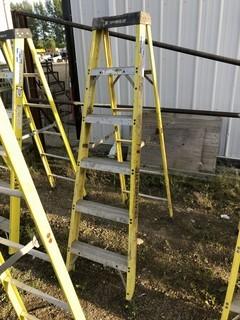 Featherlite 6ft Step Ladder