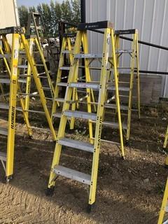 Featherlite 6ft Step Ladder