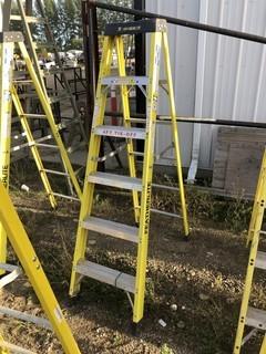 Featherlite 6ft Step Ladder