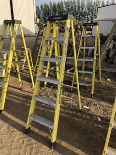 Featherlite 6ft Step Ladder