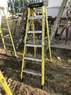 Featherlite 6ft Step Ladder