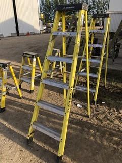 Featherlite 6ft Step Ladder