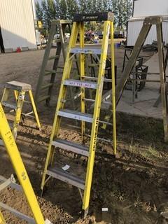 Featherlite 6ft Step Ladder