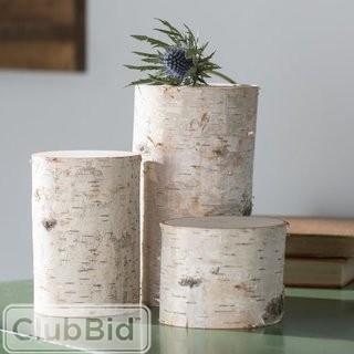 Loon Peak 3 Piece Decorative Birch Pillar Set (LNPK8993)