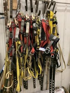 Qty Of Safety Harnesses