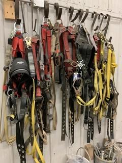 Qty Of Safety Harnesses