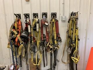 Qty Of Safety Harnesses