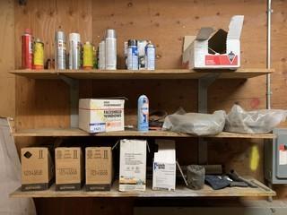 Qty of Unused Paint and Contenets of Shelf