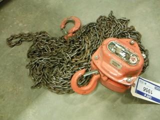 Tiger Chain Hoist 1 Ton 