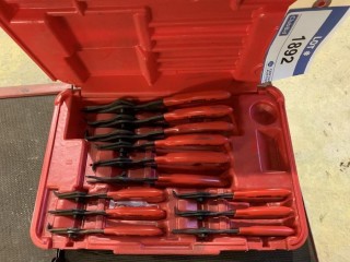 Retaining Ring Plier Set