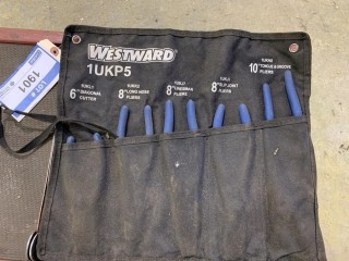 Westward Plier Set