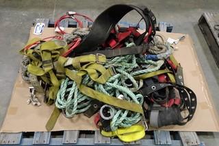 Fall Arrest Harness and Rope