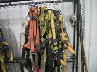 Qty Of (10) Safety Harnesses