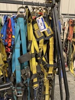 Qty Of Safety Harnesses 