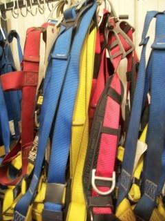 Qty Of (10) Safety Harnesses